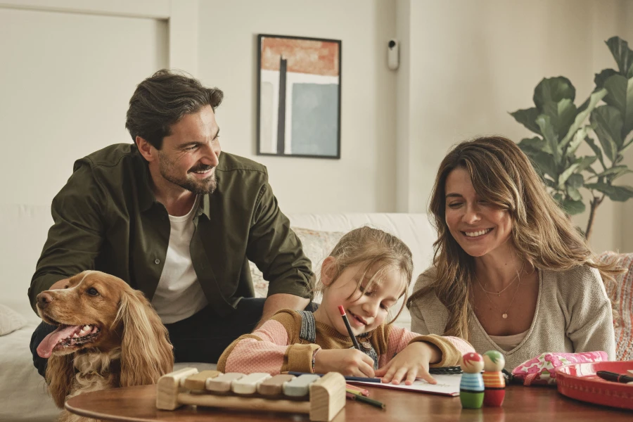 Der er mange alarm pakker, som kan holde ubudne gæster væk