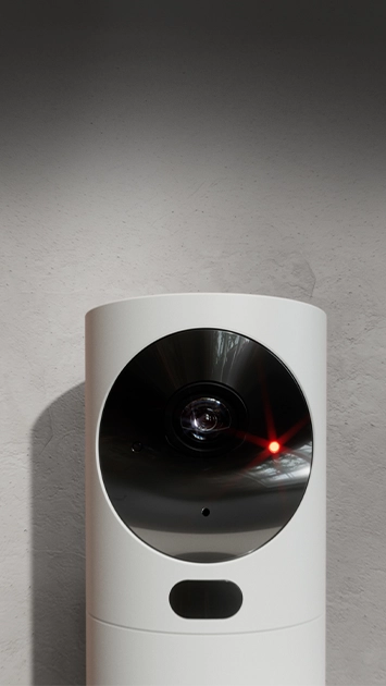 Overvågning privatliv